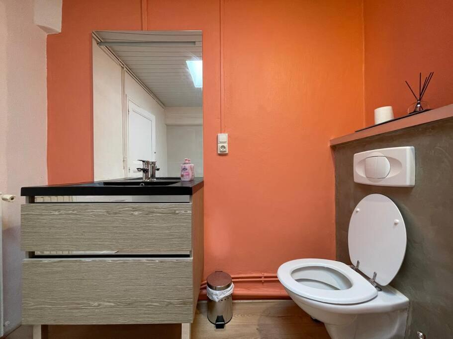 L'Appartement Marceau - 55M2 - Carcassonne Centre المظهر الخارجي الصورة